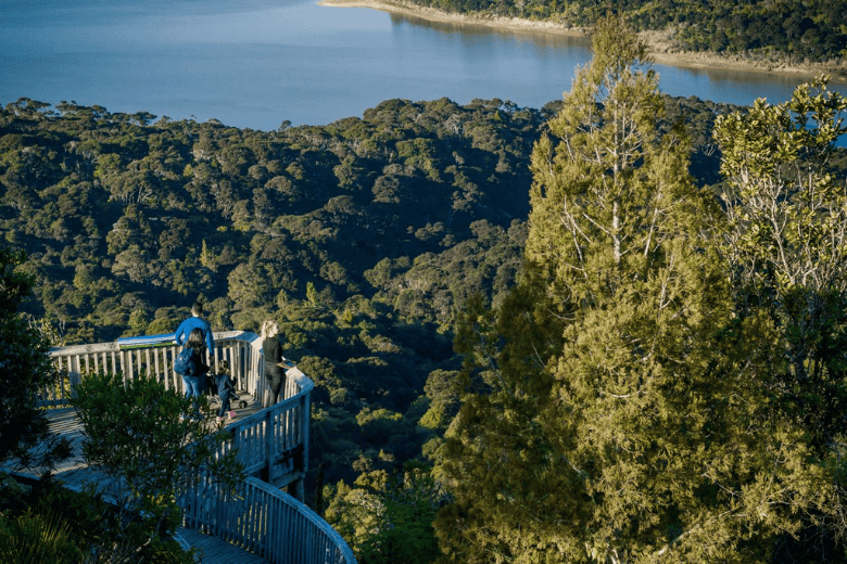 Things To Do Arataki Visitor Centre